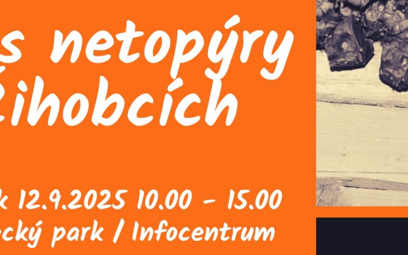 Den s netopýry v Žihobcích